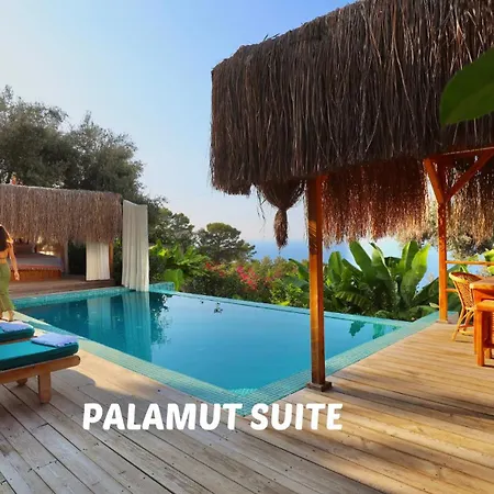 Seaview Kamp alanı *